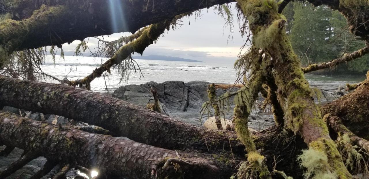 Вилла Newfie Seaside Retreat Порт-Ренфрю Экстерьер фото
